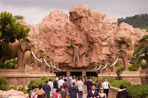the gardens of sun city|The Gardens of Sun City .